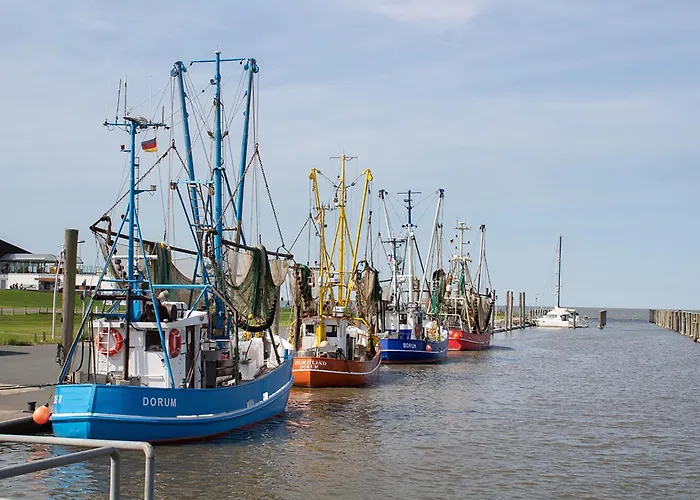 Westertill 23 דורום נויפלד